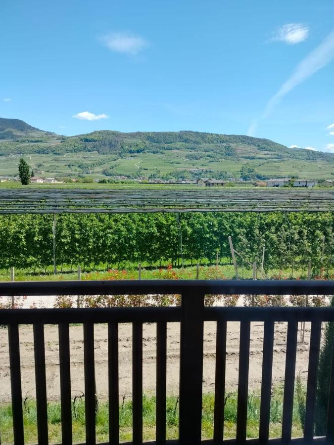Agritur Lavanda Nave San Rocco Exterior photo